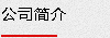 公司簡(jiǎn)介